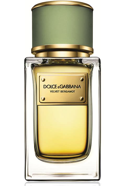 dolce gabbana velvet 100ml|dolce gabbana velvet bergamot.